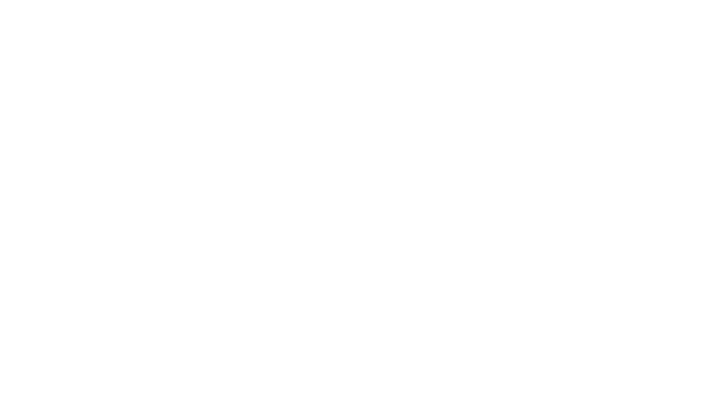 Springs Capital