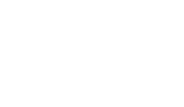 The Sandbox